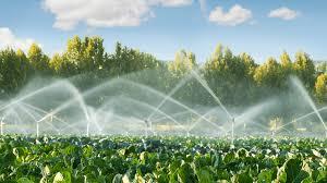 Irrigation Solutions